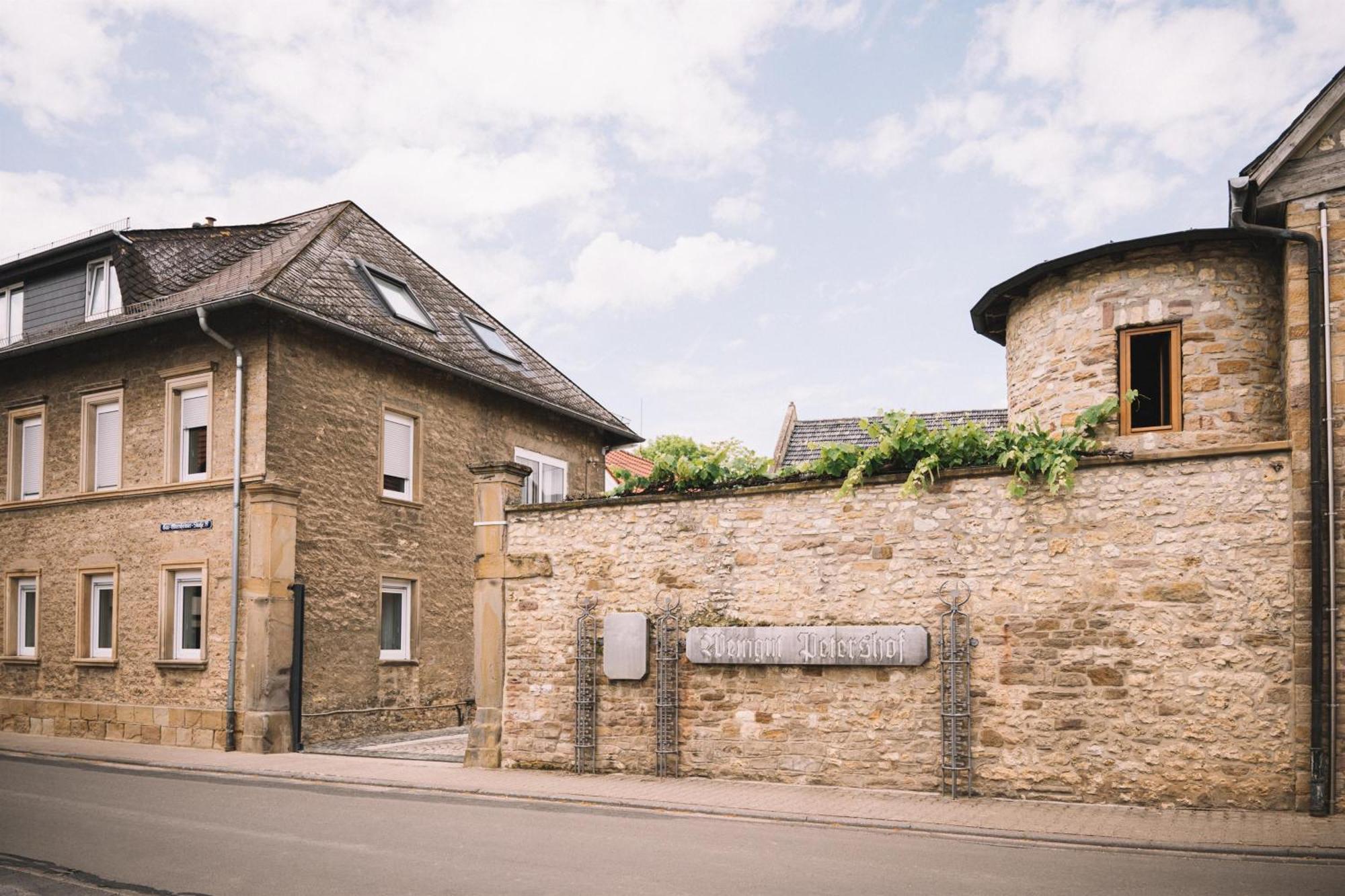 Weingut Petershof Apartment Alzey Exterior photo